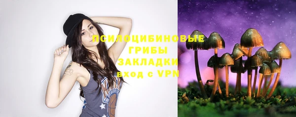 а пвп мука Алзамай