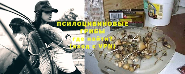 а пвп мука Алзамай