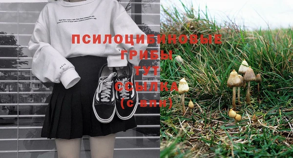 первитин Алексеевка