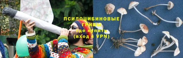 а пвп мука Алзамай