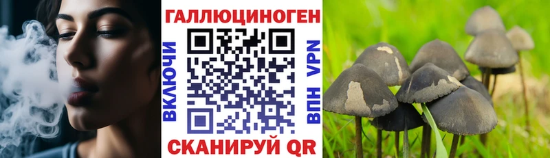 Псилоцибиновые грибы прущие грибы  Рудня 